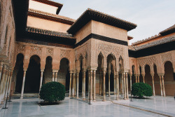 melodyandviolence:  Alhambra Palace, Spain by   Yulia Podol'skaya 
