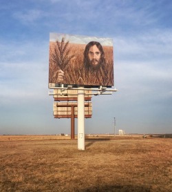 kobresias:  pound-f00lish:  hauntu: Colby, Kansas  @kobresias we put up Wheat Jesus to keep the corn wolves away   Okay but like honestly, and I mean this from the very bottom of my soul….what the fuck????
