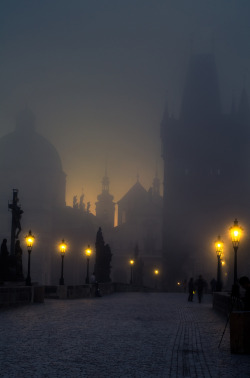 travelthisworld:  Charles Bridge Prague, Czech Republic | by Anthony Dell'Ario 