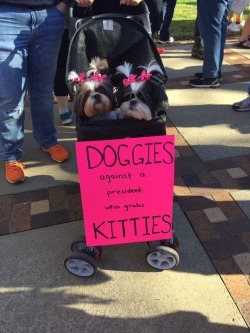 baseist:some doggos attending Women’s March around the world!