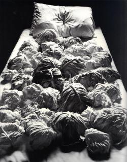 bonnenuit-goodnight: Bonne nuit. … Comme on fait son lit, on se couche. (photo Michiko Kon – Cabbages and Bed #3, 1979) 