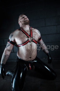 trueduroc:  nzpage: Bear for Boss Visit Fort Troff for all your kinky gear needs - http://bit.ly/2yHvIsfand follow me http://trueduroc.tumblr.com/  for a taste of my fetishes and kinks.. Daddies, Bears, Leather, Cigars, Piss, Fisting, Bondage, REAL MEN,