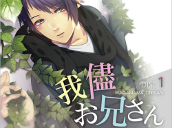 Wagamama Onisan Disc 1The Original Voice Drama CDPresented by Kaminawa Design Mitsuki and Sumire are two halves of a popular boy band called K.ings. Whatever troubles come their way, the boys are friends for life. Their manager Tokiwa has their best inter
