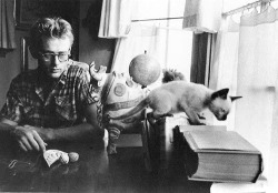 babeimgonnaleaveu:   James Dean with Marcus, a Siamese cat who was a gift from Elizabeth Taylor. 