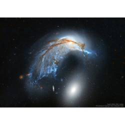 The Porpoise Galaxy from Hubble #nasa #apod #esa #hla #hubble #spiralgalaxy #porpoisegalaxy #ngc2936 #ellipticalgalaxy #ngc2937 #arp142 #gravity #dust #stars #hubblespacetelescope #constellation #hydra #watersnake #galaxies #interstellar #intergalactic