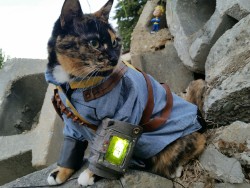 cat-cosplay:  According to Robert House, Cat’s are extinct in the Wastes.  Vault Cat perseveres… traversing the harsh terrain and skirting the irradiated horrors in search of his own kind, so that once again the denziens of this warped world might
