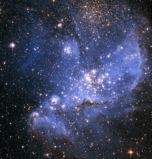 space-pics:Hubble’s Exquisite View of a Stellar Nursery by NASA Goddard Photo and Video