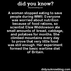 did-you-kno:  A woman stopped eating to save people during WWII. Everyone was worried about nutrition because of food rations, so scientist Elsie Widdowson ate small amounts of bread, cabbage, and potatoes for months. She climbed mountains every day to