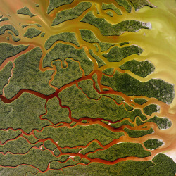 dailyoverview: Everglades National Park in Florida is the largest tropical wilderness in the United States east of the Mississippi River, covering more than 1.5 million acres. The park was established in 1934 to protect the area’s fragile ecosystem