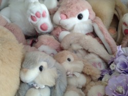 4455660012300:  my grandma has a collection of these bunnys above her bed and idk why she has them but ive always really liked them 