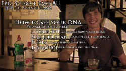 the-science-llama:  You can see your own DNA with a few simple steps. You can watch this video to let Brian Cox explain it to you, but it might get taken down from Youtube again so I’ll explain it here. First you need to get some of your cells, a