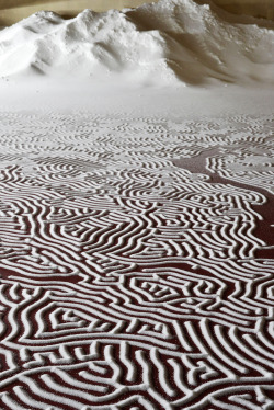 itscolossal:  New Labyrinths of Poured Salt by Motoi Yamamoto Cover the Floors of a French Castle 