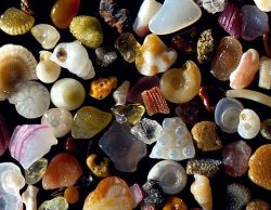 dictionaryghost:  sixpenceee:    Sand under a 250x magnification. Source: IFL Science  OH MY GOD SCIENCE IS SO COOL 