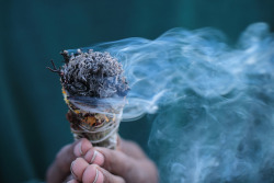 norsevikingqueen:  enlightenthejourney:chaeronea:here’s some burning sage to cleanse ur blog of bad energies  why is this making me feel so much better  I reblog this at least once a week haha ^.^  Sage, witch things,
