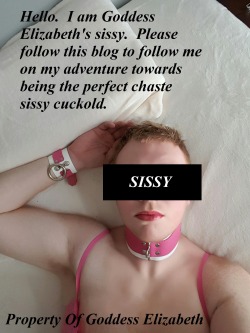 Follow My Sissy!!!  It will be LOTS of fun!