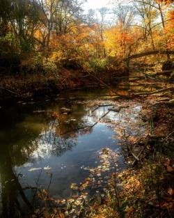thliii:  #fall #autumn #landscape #landscape_lovers #forest #stream #nature  #reflection #woods (at Core Creek Park)