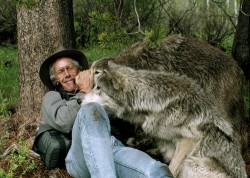 wonderous-world:  Wolves get a bad rap in folklore, but Jim and Jamie Dutcher spent six years (1990-1996) living among them to prove wolves aren’t big bad guys. Living without electricity, running water, radio or phones, based on a yurt near Idaho’s