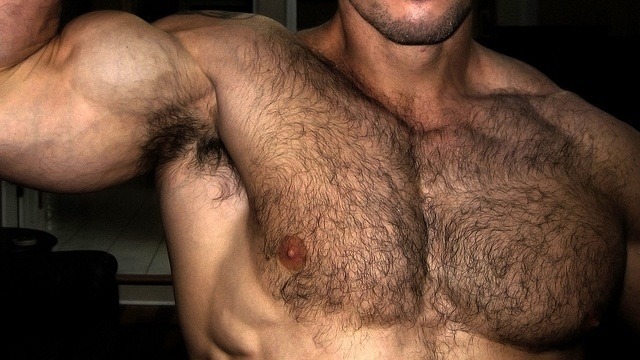 Chest hairy muscle men