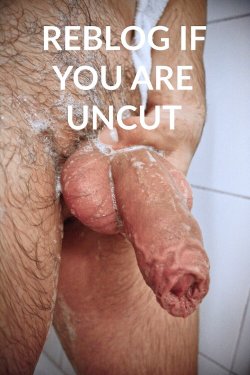sumoboy69:  wolfire1:  tch1005: chubbydudefl79:   uncut-delight: Uncut and proud of it!  Here’s proof.    fuck yeah! @kirbycub    Sure am  I wanna line all 3 of you up and suck and ride you chubs.