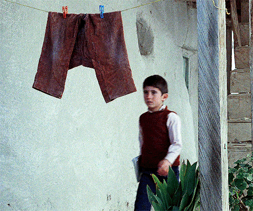 dailyworldcinema:    ‘خانه‌ی دوست کجاست؟’ Where Is the Friend’s House?1987 | dir. Abbas Kiarostami