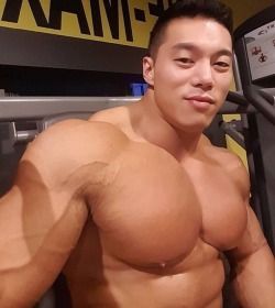 Asian Bodybuilder