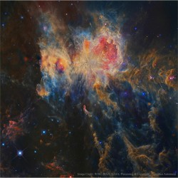 Infrared Orion from WISE #nasa #apod #wise #irsa #infrared #orion #nebula #m42 #trapezium #horsehead #universe #galaxy #milkyway #astronomy #space #science