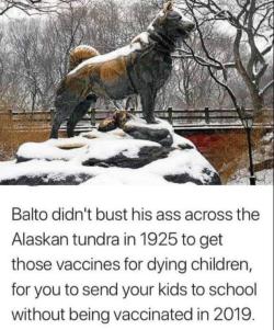 space-buns: pugbytes:   your-naked-magic-oh-dear-lord:  grandpanerd-world:   your-naked-magic-oh-dear-lord:  omghotmemes: Show some respect, people.  THANK YOU   The story of Balto is interesting. He led a team of sled dogs across the Alaskan wilderness