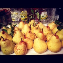 #moemeatproduction #pears #fresh #mendolife #tanoakpark #yummy #clasico #jars