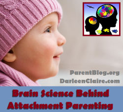 darleenclaire:  Explore The NeuroScience and Brain Science Behind Attachment Parenting