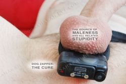 objectd:  kjay-puppy:  For when pup is a bad boy  NO OPTIONS - NO WAY OUT - EXIST TO SERVE - SERVE TO EXIST  All men should wear one of these, remote-controlled by a woman.