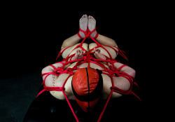 thee-domasan:  The Beauty of Hogtie  