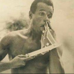 jiggyazzjosh:  soulbrotherv2:Finally a good use of the confederate flag: Harry Belafonte picks his nose with the confederate flag. new favorite picture.