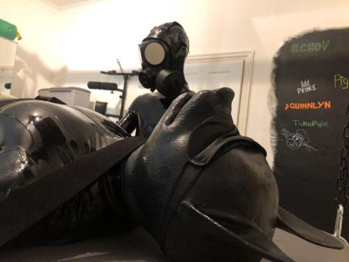 Happy Birthday to me!Last weekend I got transformed into a rubber dog and tied down!I rarely post here anymore with the fall of tumblrs adult content but you can still find me over on twitter as SpacePupSilver.
