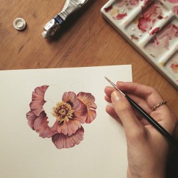 pollyfern:  Nearly there…#painting #flower #botanical #drawing #watercolour #peony #pollyfern #illustration 