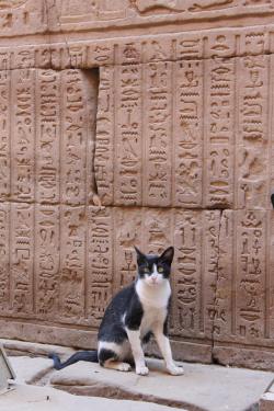 akalle:Temple of Horus at Edfu