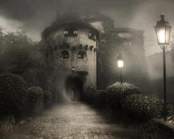 Foggy Night, Bran Castle, Transylvania
