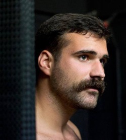 londonboy45:  Sometimes a stache is equal to a thousand words.   