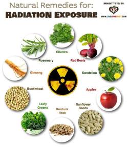 foodfoodfoody:  Natural remedies for radiation exposure (source: facebook.com/livelovefruit) 