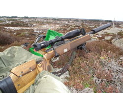 weaponslover:  steyr SSG custom hunting rifle 