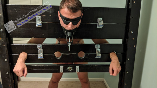 Nebraska boy locked in the stocks&hellip;with a lot to keep him &ldquo;occupied&rdquo;, Part 2So  Nebraska boy has been in the stocks for a while, with his cock locked  in a prison that only I hold the key to, and his balls stretched low by a  very ungivi