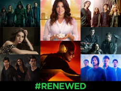 cwnetwork:  The CW is proud to announce that all of our fall shows have been RENEWED for another season!  Hey guys! Guess what? SEASON 3, bitches!