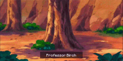 pokemon-global-academy:40 Day Pokémon Challenge | Day 33: Favorite Pokemon Professor - Professor gets chased a lot Birch  