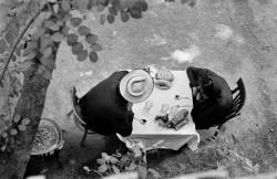 fewthistle:  Garden restaurant near Tehran, Iran. 1960.Photographer: René Burri 