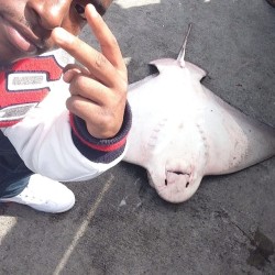 press-sellagram:  Chillin with the homie sting ray he ain’t dead he just recovering from the xan he had last night. 