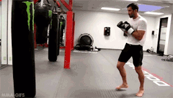 dr-grayson:  marlowthewarlord:  mma-gifs:   From the Gym to the Ring:   Luke Rockhold’s Question Mark Kick   And people wonder why he’s out for knee shit right now…  Cause he uses too much knee and not enough of his hip in the kick.