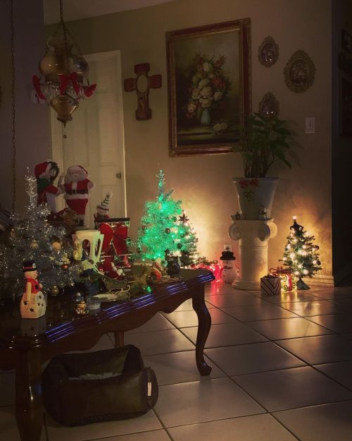 #Mood Christmas 🎄  (at Hacienda Pèrez-Garcia) https://www.instagram.com/p/CJaZAyYrbnw/?igshid=1nlivtaalnaat