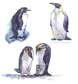 carcaneloce:  Just some Emperor penguin sketches. 