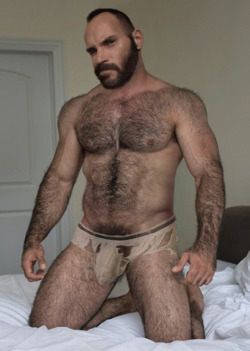firstclassmales:  timboakimbonyc:   furrymasculinenude:  furrymasculinenude:  Social distancing and self isolation sucks… but every cloud has a silver lining.  After three and a half weeks at home wearing nothing but his slowly disintegrating comfy