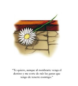 somosletras:Desde el silencio de la soledad de Elizabeth Castaneda, poema del libro Adicciones de Somos Letras.