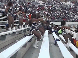 subzerothoughts:  phattygirls:  BLACK COLLEGE DANCE TEAMS!  J-settes putting in work 